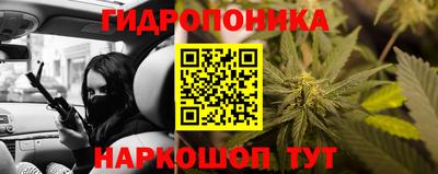 трава Шебекино