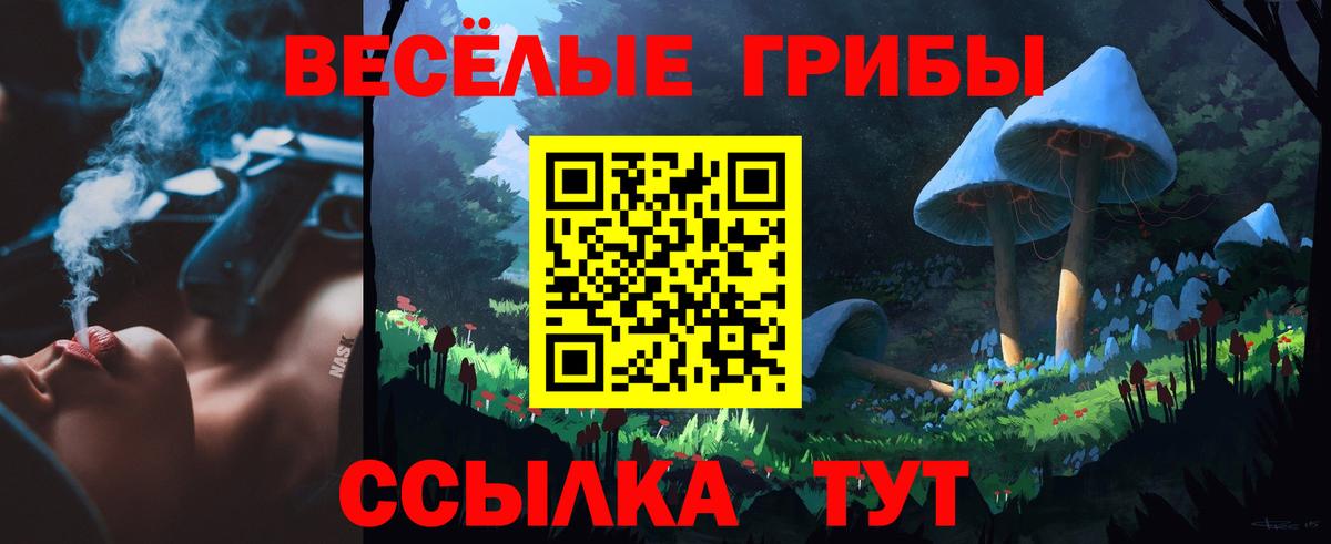 Псилоцибиновые грибы мухоморы Кашира