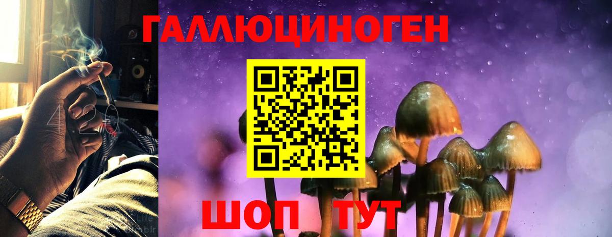 Галлюциногенные грибы MAGIC MUSHROOMS  Вход с VPN  Галлюциногенные грибы мицелий  Кашира 